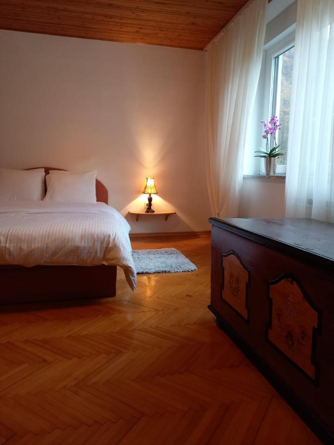 Riverside Villa Avo - Apartment Martin Spodnja Idrija Ngoại thất bức ảnh