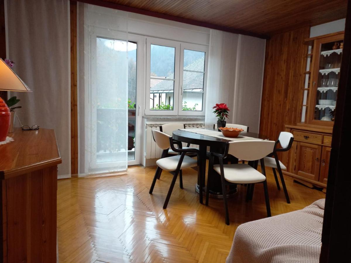 Riverside Villa Avo - Apartment Martin Spodnja Idrija Ngoại thất bức ảnh