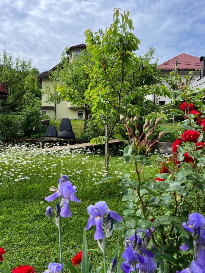 Riverside Villa Avo - Apartment Martin Spodnja Idrija Ngoại thất bức ảnh